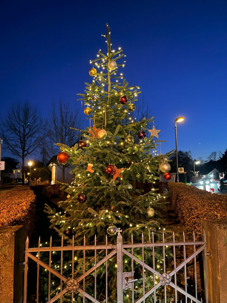 Ein beleuchteter Weihnachtsbaum vor dem Nachthimmel.